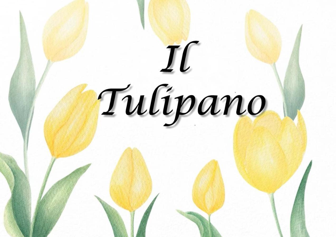 Il Tulipano Apartment Trezzano Rosa ภายนอก รูปภาพ